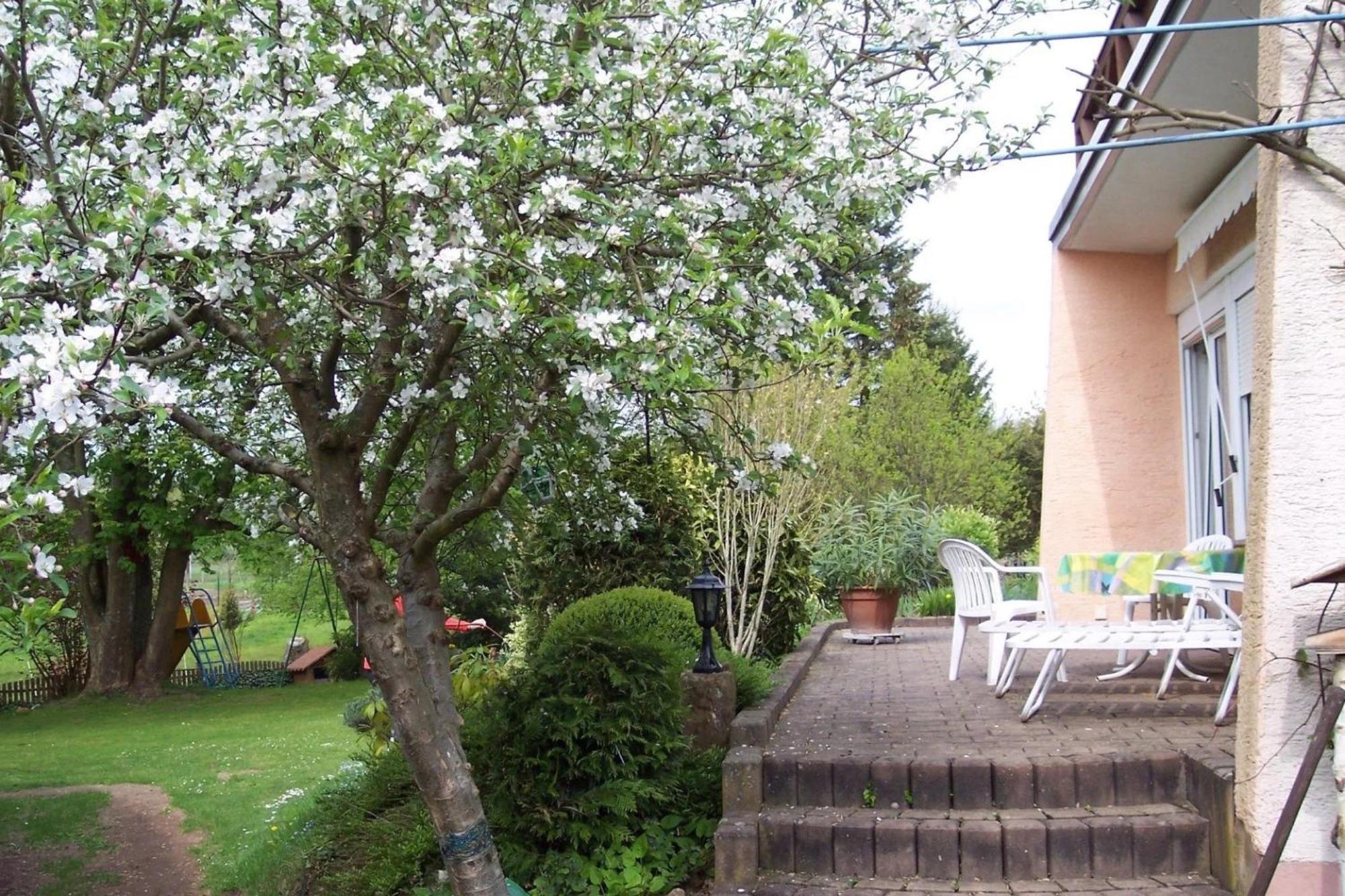 Ferienwohnungen 'Blick Zur Madonna' Fischbach bei Dahn Luaran gambar