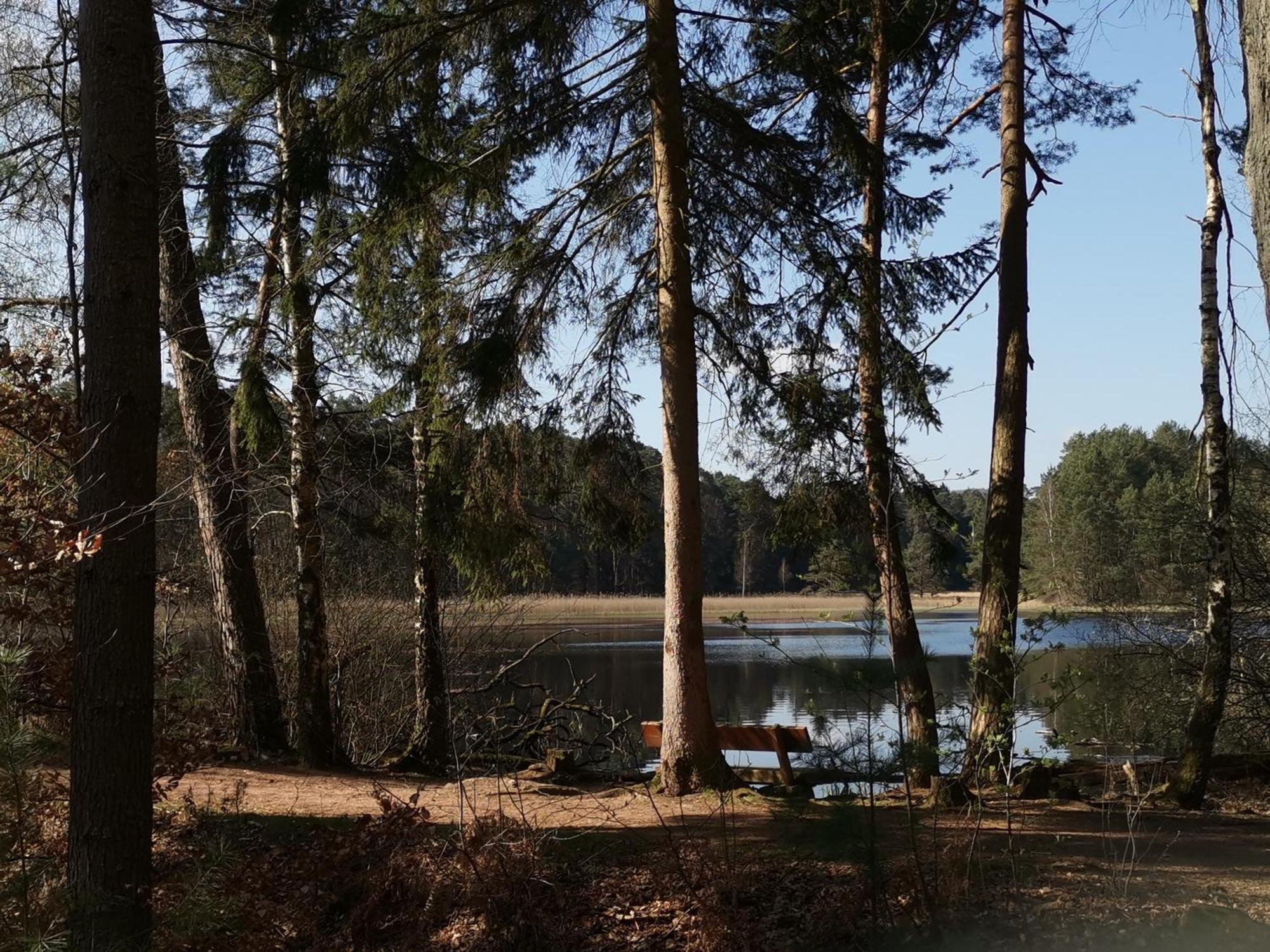 Ferienwohnungen 'Blick Zur Madonna' Fischbach bei Dahn Luaran gambar