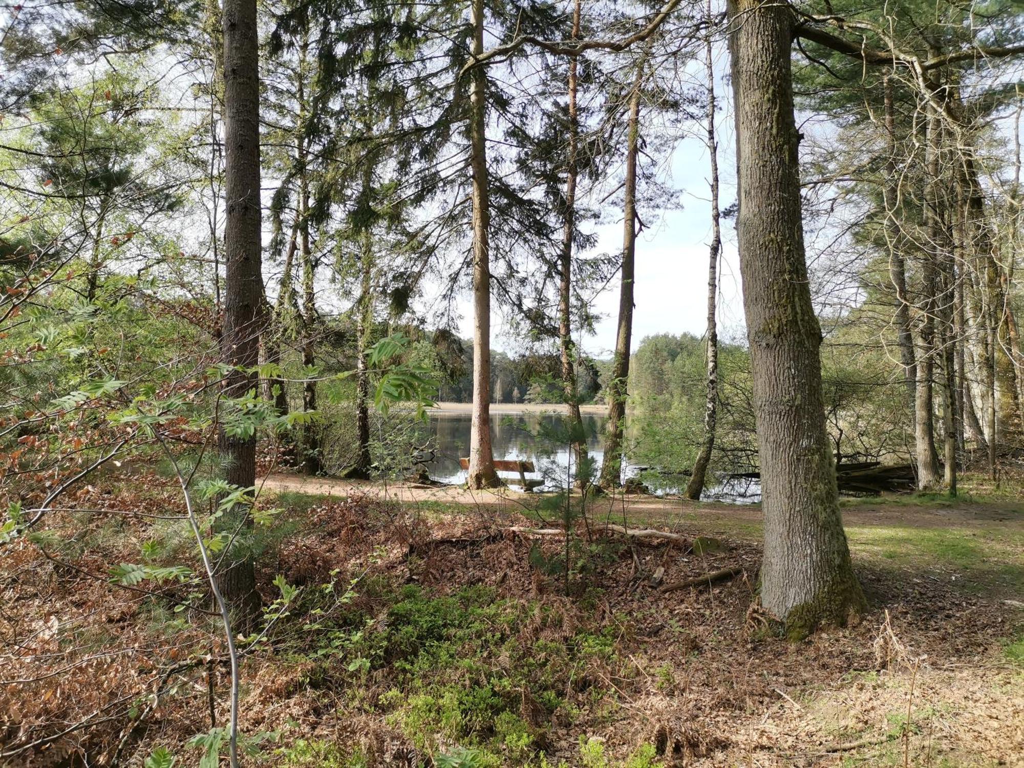 Ferienwohnungen 'Blick Zur Madonna' Fischbach bei Dahn Luaran gambar